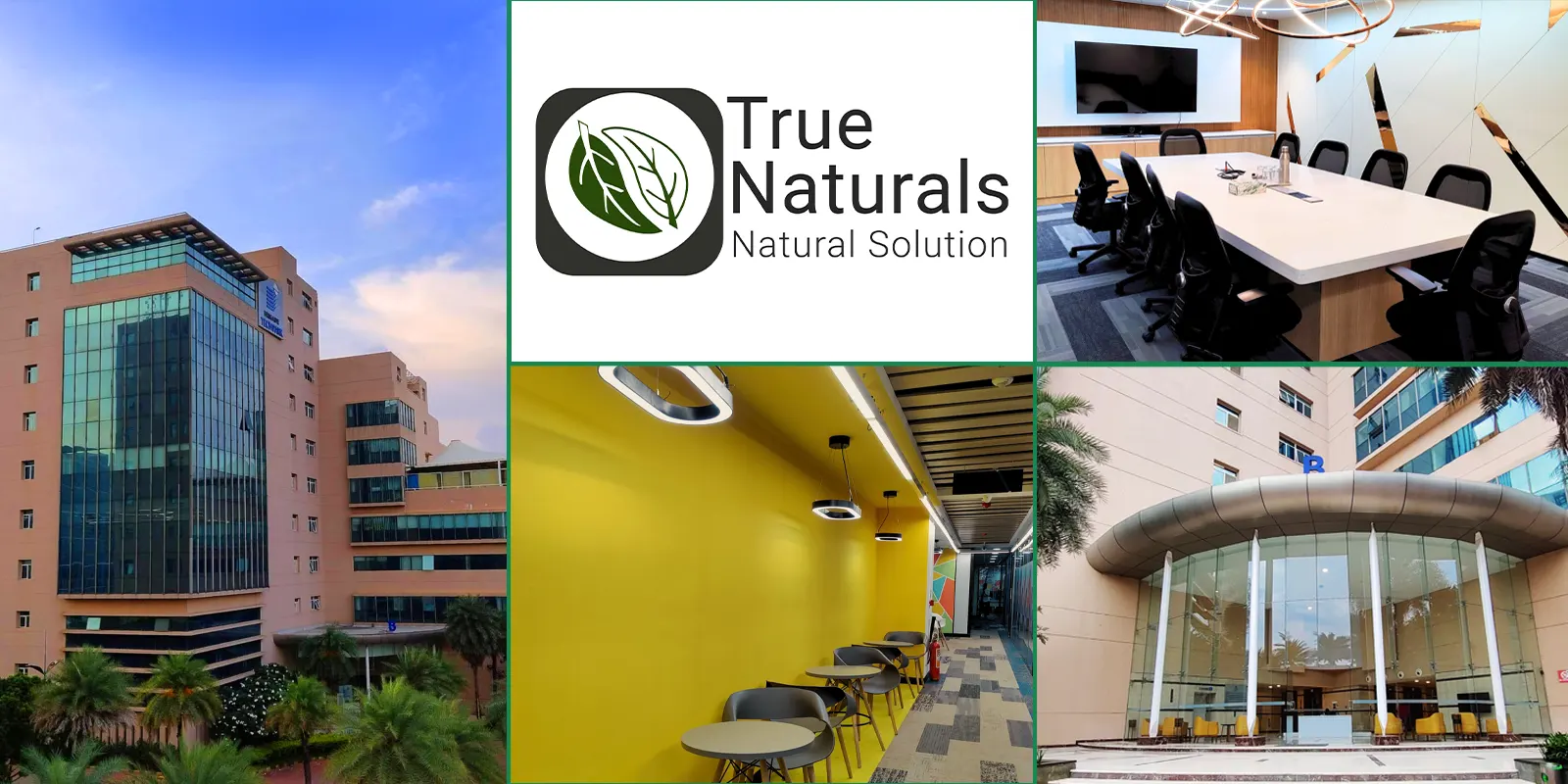 True Naturals Office