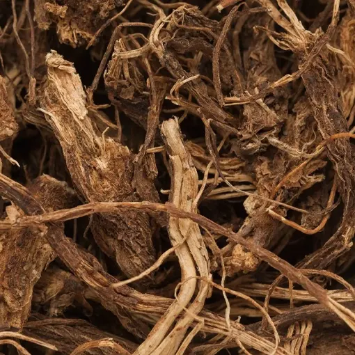 Coleus Forskohlii Extract