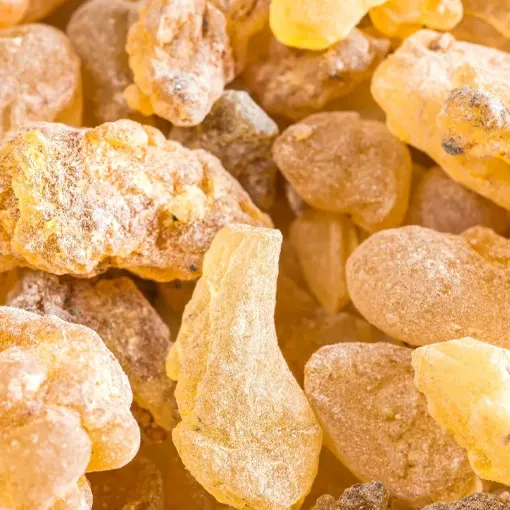 Organic Boswellia Serrata Extract