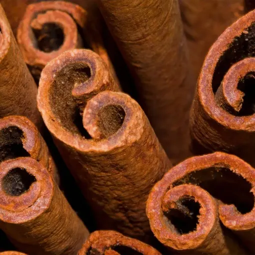 Organic Cinnamon Extract