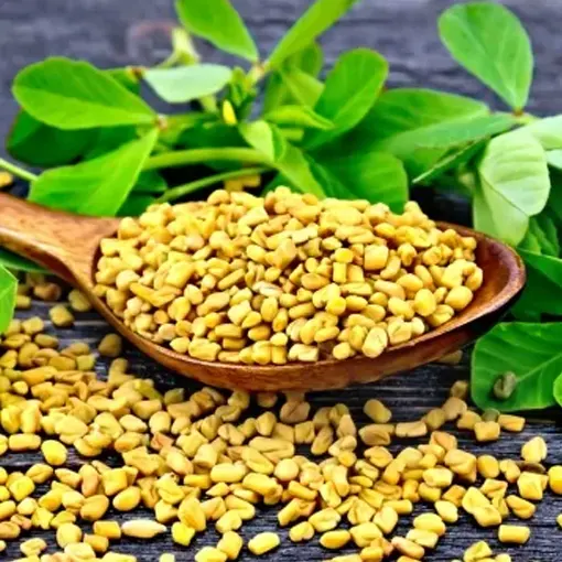 Organic Fenugreek Extract